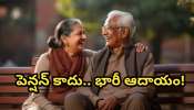 NPS Benefits: పెన్షన్ అంటే భరోసా కాదు.. భారీ ఆదాయం.. NPS ద్వారా 20 శాతం లాభం ఎలా పొందాలో తెలుసా? 