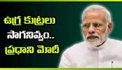 PM Modi: రక్తపాతంతో గెలవలేరు.. ఉగ్ర కుట్రలు సాగనివ్వం.. ప్రధాని నరేంద్ర మోదీ హెచ్చరిక!