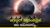 Aadi Amavasya 2024: ఆగస్టులో శక్తివంతమైన ఆది అమావాస్య.. ఈ రోజు ఏం చేయాలంటే? 