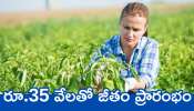 Agriculture Govt Job: నిరుద్యోగులకు గుడ్ న్యూస్.. అగ్రికల్చర్ సంస్థ నుంచి ప్రభుత్వ ఉద్యోగం.. రూ.35 వేలతో జీతం ప్రారంభం..