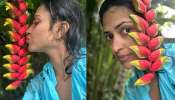 Amala Paul Photos: మళ్లీ మొదటి చూపులోనే ప్రేమలో పడ్డ అమలాపాల్.. బోల్డ్ అవతారంలో ముద్దులతో రచ్చ