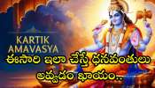 Kartika Amavasya 2024: ఏడాదికి ఒకసారి.. కార్తీక అమావాస్య.. ఈసారి ఇలా చేస్తే ధనవంతులు అవ్వడం ఖాయం!