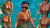 Ameesha Patel Bikini : బికినీలో అమిషా పటేల్.. సీనియర్ భామ భారీ అందాల ప్రదర్శన