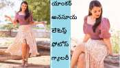 Anchor Anasuya latest photos gallery; యాంకర్ అనసూయ లేటెస్ట్ ఫోటో గ్యాలరీ