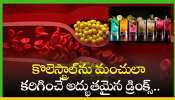 Bad Cholesterol: కొలెస్ట్రాల్‌ను మంచులా కరిగించే అద్భుతమైన డ్రింక్స్‌..