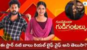 Gunde Ninda Gudi Gantalu: ఈ స్టార్‌ నటి బాలు రియల్‌ లైఫ్ వైఫ్ .. 2 నెలలకే పెళ్లి పెటాకులు..! 