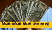 Best Pension Plans: బెస్ట్ పెన్షన్, సేవింగ్స్ ప్లాన్ కావాలంటే ఈ వివరాలు చదవండి