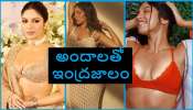 Bhumi Pednekar hot photos: బరువైన అందాలతో యువతను బంధిస్తున్న ఈ బ్యూటీని గుర్తుపట్టారా ?