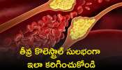 5 Foods To Lower Cholesterol: తీవ్ర కొలెస్ట్రాల్‌ను సైతం పిండిలా కరిగించే ఆహారాలు ఇవే..