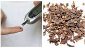 Cloves For Diabetes: డయాబెటీస్‌తో బాధపడేవారు లవంగం నీటిని తాగితే ఏం జరుగుతుందో తెలుసా?