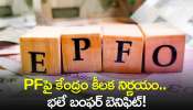 Epf Contribution Hike: PFపై కేంద్రం కీలక నిర్ణయం.. భలే బంఫర్‌ బెనిఫిట్!