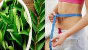 Belly Fat: కరివేపాకుతో ఇలా జ్యూస్‌ తాగితే బెల్లీఫ్యాట్‌ వారంలో ఇట్టే కరిగిపోతుంది..