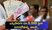 7th Pay Commission: ప్రభుత్వ ఉద్యోగులకు గుడ్ న్యూస్..ఒక్కసారిగా రూ.9,000 పైగా పెరగబోతున్న శాలరీలు..