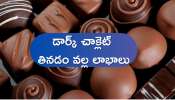 Dark Chocolate Benefits: అతిగా అలసి పోతున్నారా? డార్క్ చాక్లెట్ తినండి చాలు