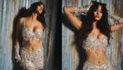 Disha Patani: వజ్రాల డ్రెస్ లో  దిశా పటానీ హాట్ గ్లామర్ ట్రీట్.. మైండ్ బ్లాంక్ చేస్తోన్న లేటెస్ట్ పిక్స్..!