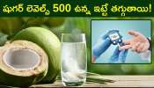 Diabetes Control: ఈ గింజలు కొబ్బరి నీళ్లలో కలుపుకొని తాగితే, షుగర్ లెవెల్స్ 500 ఉన్న ఇట్టే తగ్గుతాయి!