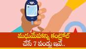 Best Fruits For Diabetes: మధుమేహాన్ని కంట్రోల్ చేసే 7 పండ్లు ఇవే..