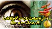 Drishti Tips In Telugu: నరదిష్టితో బాధపడుతున్నారా? రోజు ఇలా చేయండి.. నెలరోజుల్లో మీకే తెలుస్తుంది!