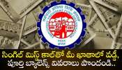 EPFO Account: PF ఖాతా ఉన్న ప్రతి ఒక్కరికి గుడ్ న్యూస్.. సింగిల్ మిస్డ్ కాల్‌తో మీ ఖాతాలో వడ్డీ, పూర్తి బ్యాలెన్స్ వివరాలు పొందండి..