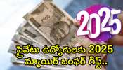 EPFO New Year Gift: ప్రైవేటు ఉద్యోగులకు 2025 న్యూ ఇయర్ బంఫర్‌ గిఫ్ట్‌.. EPFO నుంచి ఏకంగా రూ.9,000 పెన్షన్!