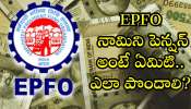  EPFO Nominee Pension: EPFO నామిని పెన్షన్ అంటే ఏమిటి.. ఎలా పొందాలి? 