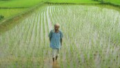 Farm Bills 2020: కొత్త వ్యవసాయ చట్టం, అపోహలు- వాస్తవాలు