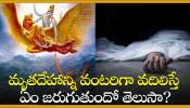 Facts About Garuda Puranam: మృతదేహాన్ని వంటరిగా వదిలిస్తే ఏం జరుగుతుందో తెలుసా?