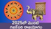 Gajakesari Rajyoga Effect: 2025లో మొదటి గజకేసరి రాజయోగం.. ఈ రాశుల వారి ఇండ్లు ఖజానాతో నిండిపోబోతున్నాయి..