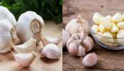 Weight Loss - Garlic: అధిక బరువును తగ్గించుకోవాలనుకుంటున్నారా.. వెల్లుల్లితో సింపుల్‌గా ఈ టిప్స్ పాటించండి.. 