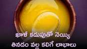 Ghee On Empty Stomach Benefits: ఖాళీ కడుపుతో నెయ్యి తింటే బోలెడు లాభాలు..