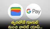 Google Wallet: త్వరలోనే గూగుల్ నుంచి వాలెట్ యాప్.. phone pe, payment యూపీఐ యాప్స్ పనైపోయినట్లేనా? 