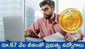 Government Job Recruitment 2025: రూ.67 వేల జీతంతో ప్రభుత్వ ఉద్యోగాలు.. వారికి ఇది బెస్ట్‌ ఛాన్స్‌.. 