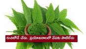 Health Benefits Of Neem Leaves: చేదుగా ఉండే వేప ఆరోగ్యానికి ఔషధం.. ఈ ప్రయోజనాలు తెలుసా 