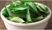 Health Benefits Of Curry Leaves: కరివేపాకుతో షుగర్ కంట్రోల్, గర్భిణులకు మేలు సహా ఎన్నో ప్రయోజనాలు