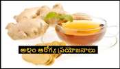 Ginger health benefits: రోజూ అల్లం తింటే కలిగే ఆరోగ్య ప్రయోజనాలు ఏంటి ?