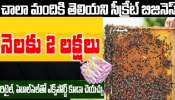 High Profitable Small Business Idea: ఎవరికి తెలియని సీక్రెట్ బిజినెస్‌ ఐడియా.. నెలకు రూ. 2 లక్షల ఆదాయం.. డోంట్ మిస్!