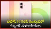 Iphone 16 Series: ఐఫోన్‌ 16 సిరీస్‌ మార్కెట్‌లో మ్యాజిక్‌ చేయబోతోంది.. ఫీచర్స్, ధర వివరాలు ఇవే!