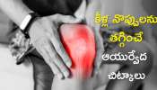 Joint Pain Relief: కీళ్ల నొప్పులను తగ్గించే ఆయుర్వేద చిట్కాలు, వీటితో 5 రోజుల్లో చెక్!