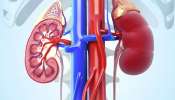 Kidney Health Precautions: కిడ్నీ వ్యాధిగ్రస్తులకు ఈ 5 ఫ్రూట్స్ చాలా డేంజర్