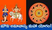 Lucky Rasi Phalalu: మౌని అమావాస్య మహా యోగం.. ఈ రాశులవారు నిరుపేదలైన ధనవంతులు కాబోతున్నారు!