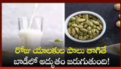 Cardamom Milk: ఈ పాలు ఔషధంతో సమానం.. ఈ రోజు తాగి చూడండి.. 