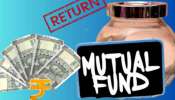 Mutual Funds: మ్యూచువల్ ఫండ్స్ లో ఇన్వెస్ట్ చేయాలనుకుంటున్నారా? 2025లో టాప్ 5 ఆప్షన్స్ ఇవే