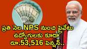 New Bumper Pension Scheme: మోదీ సర్కార్‌ గుడ్‌న్యూస్‌.. ప్రతి నెల NPS నుంచి ప్రైవేటు ఉద్యోగులకు కూడా రూ.53,516 పెన్షన్‌..