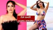 Neha Malik Hot Pics: నేహా మాలిక్ గ్లామర్ ట్రీట్.. సాగర తీరాన బికినీ అందాలతో కనువిందు చేస్తున్న హాట్ బ్యూటీ!