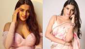 Nidhhi Agerwal: అందాల సోగసులతో కుర్రాళ్ల మతులు పోగుడుతున్న నిధి అగర్వాల్..