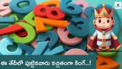 Numerology: ఈ తేదీలో పుడితే మీరే కింగ్‌.. ఇందులో మీ పుట్టినరోజు కూడా ఉందా? చెక్‌ చేయండి..