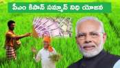 PM Kisan Samman Nidhi: రైతులకు శుభవార్త, పీఎం కిసాన్ స్కీమ్ రూ.2000 త్వరలో ఖాతాల్లోకి