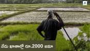 PM Kisan Yojana: దసరా ముందు రైతులకు కేంద్రం భారీ శుభవార్త.. నేడు రూ.2000 ఖాతాల్లో జమా..