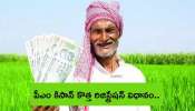 Pm Kisan: పీఎం కిసాన్‌ కొత్త రైతుల రిజిస్ట్రేషన్‌ ఎలా? స్టెప్‌ బై స్టెప్‌ విధానం ఇదే..