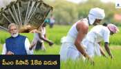 Pm Kisan Yojana: పీఎం కిసాన్ డబ్బులు మీ ఖాతాల్లో పడ్డాయా? మొబైల్‌ ద్వారా ఇలా వెంటనే చెక్‌ చేసుకోండి..